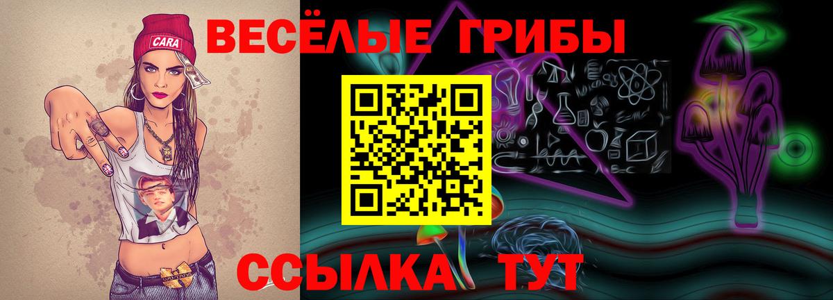 Тулун  Галлюциногенные грибы мицелий  Вход с VPN 